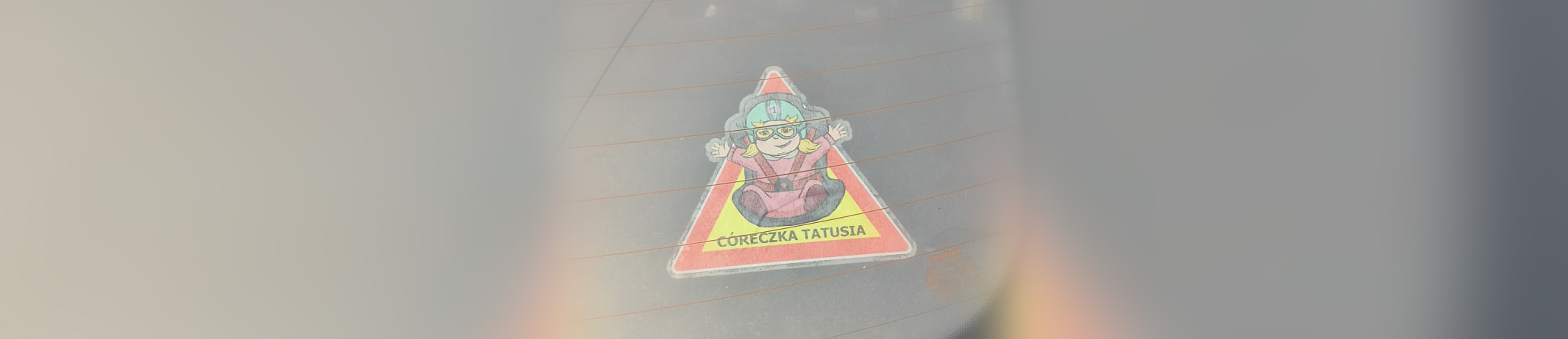 Rotating gallery image 7